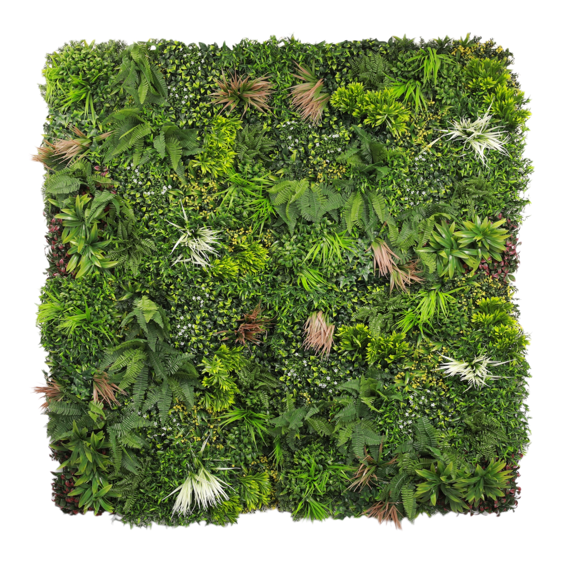 dekorativnoe-pokrytie-iz-iskusstvennoi-zeleni-verdoniia-med1-100kx100-sm-mz189023a